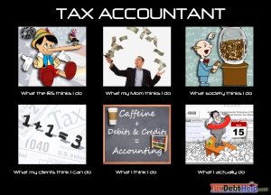 Accountant1
